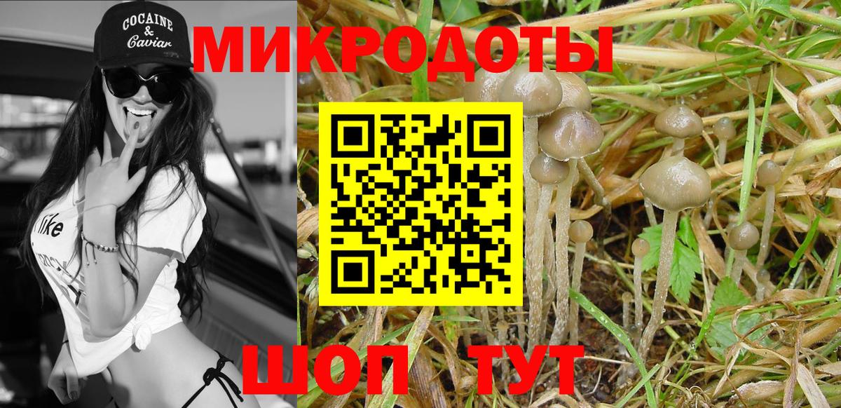 Галлюциногенные грибы Magic Shrooms  Вход с VPN  Алушта  Галлюциногенные грибы GOLDEN TEACHER 